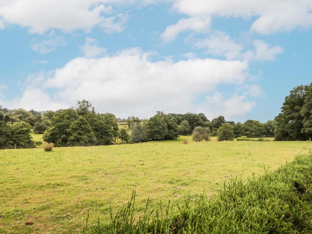 Holly Farm Cottage Newbridge on Wye Exteriér fotografie