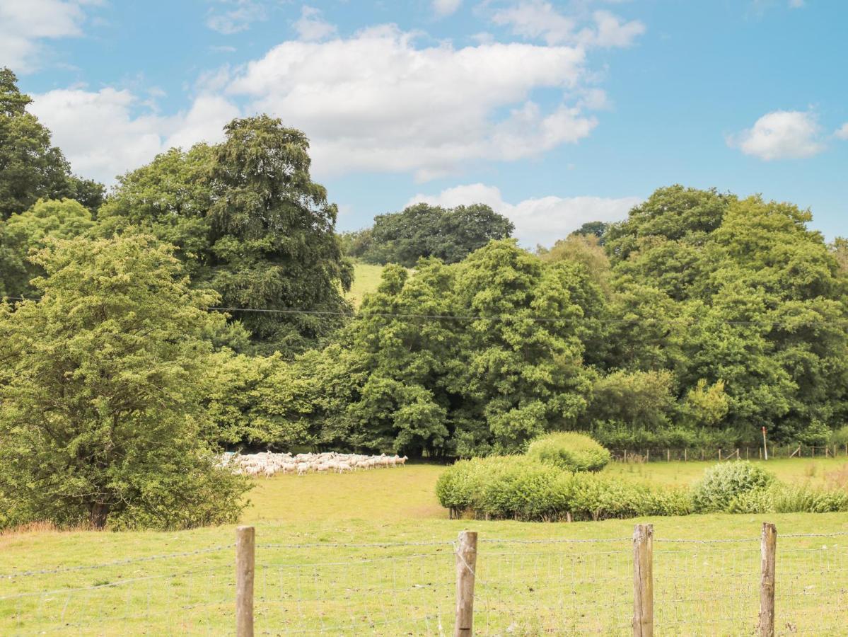Holly Farm Cottage Newbridge on Wye Exteriér fotografie